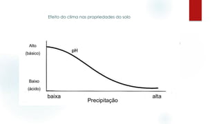 Efeito do clima nas propriedades do solo
 