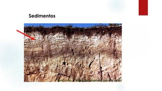 Sedimentos
 