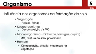 5
Slide
Organismo
• Vegetação
–
• Microorganismos
–
• Macroorganismos(minhocas, formigas, cupins)
–
• Homem
–
Influência dos organismos na formação do solo
Raízes, folhas
Decomposição da MO
MO, mistura do solo, porosidade
Compactação, erosão, mudanças na
vegetação
 