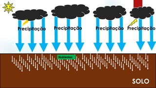 Precipitação Precipitação
SOLO
Precipitação Precipitação
Nutrientes
 