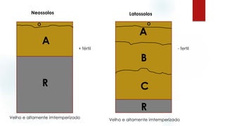 R
A
Neossolos
R
A
O
B
C
Latossolos
Velho e altamente imtemperizado
Velho e altamente imtemperizado
+ fértil - fertil
O
 