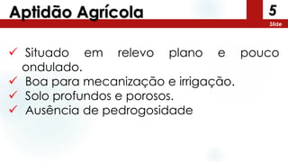 5
Slide
Aptidão Agrícola
 Situado em relevo plano e pouco
ondulado.
 Boa para mecanização e irrigação.
 Solo profundos e porosos.
 Ausência de pedrogosidade
 
