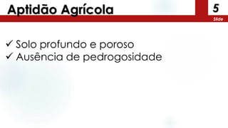 5
Slide
Aptidão Agrícola
 Solo profundo e poroso
 Ausência de pedrogosidade
 