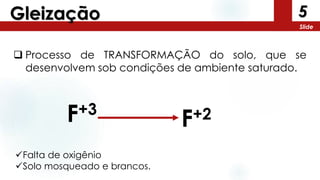 5
Slide
Gleização
 Processo de TRANSFORMAÇÃO do solo, que se
desenvolvem sob condições de ambiente saturado.
F+3
F+2
Falta de oxigênio
Solo mosqueado e brancos.
 