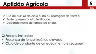 5
Slide
Aptidão Agrícola
 Uso de cultura de ciclo curto ou pastagem de várzea.
 Pode apresentar alta fertilidade.
 Depende muito do tempo da cheia.
 Fatores limitantes:
 Presença de lençol freático elevado.
 Ciclo de constante de umedecimento e secagem
 