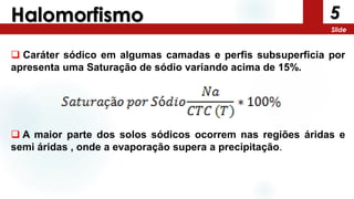  Caráter sódico em algumas camadas e perfis subsuperficia por
apresenta uma Saturação de sódio variando acima de 15%.
5
Slide
Halomorfismo
 A maior parte dos solos sódicos ocorrem nas regiões áridas e
semi áridas , onde a evaporação supera a precipitação.
 