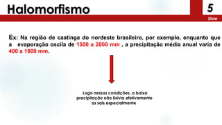 Ex: Na região de caatinga do nordeste brasileiro, por exemplo, enquanto que
a evaporação oscila de 1500 a 2000 mm , a precipitação média anual varia de
400 a 1000 mm.
Logo nessas condições, a baixa
precipitação não lixívia efetivamente
os sais especialmente
5
Slide
Halomorfismo
 