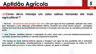 5
Slide
Aptidão Agrícola
 Como devo maneja um solos salinos tornando ele mais
agricultável ?
 Deve-se recuperá-los pela lavagem dos sais, mas com água de boa qualidade, aplicada nos solos
bem drenados e com adequada profundidade efetiva. Portanto tais solos devem possuir drenagem
interna favorável (boa permeabilidade) favorecendo a lixiviação dos sais para as camadas profundas do
perfil.
 Usar Plantas halófilas (toleram a salinidade do solo), entre elas a erva-sal (Atriplexnummularia), a
carnaúba (Copernícia cerífera) e o carandá (Copernícia australis).
No manejo de solos salinos-sódicos apenas a lavagem com água de boa qualidade não é suficiente
para reduzir a salinização, simultaneamente é necessário reduzir a concentração de sódio na CTC,
geralmente pela gessagem; e nos solos sódicos o gesso, em geral, é utilizado
 