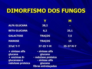 DIMORFISMO DOS FUNGOS 
