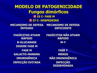 MODELO DE PATOGENICIDADE Fungos dimórficos 25 C- FASE M 37 C- HOSPEDEIRO MECANISMO DE DEFESA ÍNTEGRO MECANISMO DE DEFESA DEFICIENTE FAGÓCITOS ATUAM RÁPIDO B-GLUCANASE DIGERE FASE M FAGÓCITOS NÃO ATUAM RÁPIDO M-Y FASE M GALACTO-MANANA IMUNOGÊNICA FASE Y MENOS NÃO IMUNOGÊNICA INFECÇÃO EVITADA INFECÇÃO DISSEMINADA 