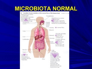 MICROBIOTA NORMAL 