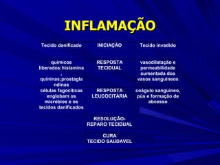 INFLAMAÇÃO 
