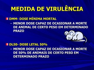 MEDIDA DE VIRULÊNCIA DMM- DOSE MÍNIMA MORTAL MENOR DOSE CAPAZ DE OCASIONAR A MORTE DE ANIMAL DE CERTO PESO EM DETERMINADO PRAZO DL50- DOSE LETAL 50% MENOR DOSE CAPAZ DE OCASIONAR A MORTE DE 50% DE ANIMAIS DE CERTO PESO EM DETERMINADO PRAZO 