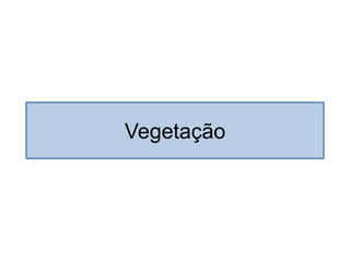 Vegetação  