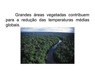 Grandes áreas vegetadas contribuem para a redução das temperaturas médias globais.  