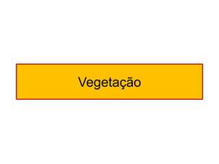 Vegetação  