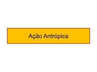 Ação Antrópica  