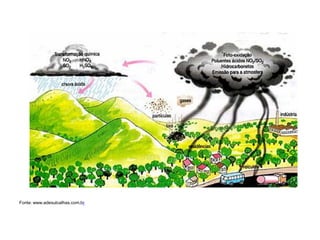 Fonte: www.adesulcalhas.com.br  