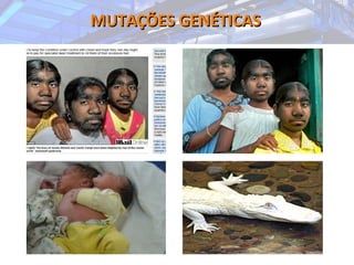 MUTAÇÕES GENÉTICASMUTAÇÕES GENÉTICAS
 