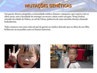 MUTAÇÕES GENÉTICASMUTAÇÕES GENÉTICAS
Um garoto deixou estupefata a comunidade médica chinesa: o pequeno, que nasceu com os
olhos azuis, tem a faculdade de enxergar no escuro, assim como um gato. Nong Youhui,
oriundo da cidade de Dahua, ao sul da China, padeceria de uma estranha doença chamada
leukodermia.
Tudo começou com uma visita do pai do garoto ao médico dizendo que os olhos de seu filho
brilhavam na escuridão como se fossem lanternas.
 