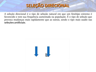 SELEÇÃO DIRECIONALSELEÇÃO DIRECIONAL
A seleção direcional é o tipo de seleção natural em que um fenótipo extremo é
favorecido e tem sua frequência aumentada na população. É o tipo de seleção que
provoca mudanças mais rapidamente que as outras, sendo o tipo mais usado nas
seleções artificiais.
 