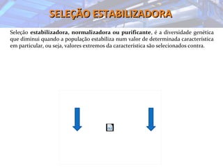 SELEÇÃO ESTABILIZADORASELEÇÃO ESTABILIZADORA
Seleção estabilizadora, normalizadora ou purificante, é a diversidade genética
que diminui quando a população estabiliza num valor de determinada característica
em particular, ou seja, valores extremos da característica são selecionados contra.
 