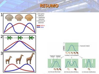 RESUMORESUMO
 