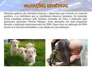 MUTAÇÕES GENÉTICASMUTAÇÕES GENÉTICAS
Mutações gênicas são alterações bruscas e imprevistas que ocorrem no material
genético, e os indivíduos que as manifestam dizem-se mutantes. As mutações
foram estudadas primeiro pelo botânico holandês de Vries e sobretudo pelo
geneticista americano Thomas Morgan,. Essas alterações são mais frequentes
durante a replicação semiconservativa do DNA. Esses erros na replicação do DNA
devem-se à troca de nucleotídeos, à sua adição ou à sua subtração.
 