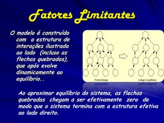 Fatores Limitantes
O modelo é construído
  com a estrutura de
  interações ilustrada
  ao lado (incluso as
  flechas quebradas),
  que após evolve
  dinamicamente ao
  equilíbrio..

   Ao aproximar equilíbrio do sistema, as flechas
   quebradas chegam a ser efetivamente zero de
   modo que o sistema termina com a estrutura efetiva
   ao lado direito.
 