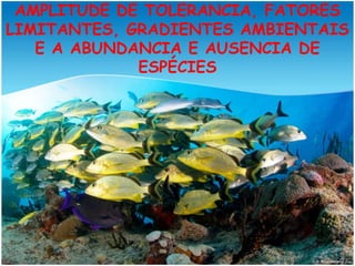 AMPLITUDE DE TOLERANCIA, FATORES
LIMITANTES, GRADIENTES AMBIENTAIS
   E A ABUNDANCIA E AUSENCIA DE
             ESPÉCIES
 