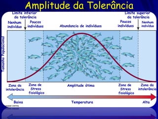 Amplitude da Tolerância
                           Limite inferior                                          Limite superior
                             da tolerância                                            da tolerância
                         Nenhum        Poucos                                    Poucos        Nenhum
                        indivíduo    indivíduos     Abundancia de indivíduos   indivíduos     indivíduo
Tamanho Populacional




                         Zona da      Zona de           Amplitude ótima        Zona de         Zona da
                       intolerância    Stress                                   Stress       intolerância
                                      fisiológico                              fisiológico

                            Baixa                         Temperatura                          Alta
 