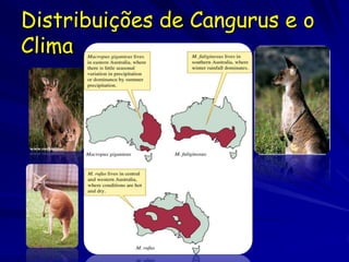 Distribuições de Cangurus e o
Clima
 