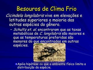 Besouros de Clima Frio
Cicindela longilabris vive em elevações e
 latitudes superiores a maioria das
 outras espécies do gênero.
  – Schultz et. al. encontraram que as taxas
    metabólicas de C. longilabris são maiores e
    que as temperaturas preferidas são
    menores do que encontradas em outras
    espécies.




      Apóia hipótese do que o ambiente físico limita a
      distribuição da espécie.
 