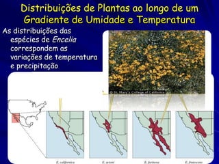 Distribuições de Plantas ao longo de um
    Gradiente de Umidade e Temperatura
As distribuições das
  espécies de Encelia
  correspondem as
  variações de temperatura
  e precipitação
 