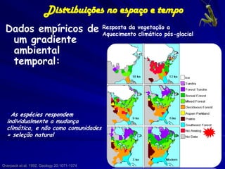 Distribuições no espaço e tempo
 Dados empíricos de                          Resposta da vegetação a
                                             Aquecimento climático pós-glacial
  um gradiente
  ambiental
  temporal:




  * As espécies respondem
  individualmente a mudança
  climática, e não como comunidades
  = seleção natural



                                                                   40
Overpeck et al. 1992. Geology 20:1071-1074
 