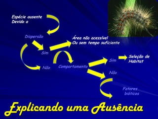 Espécie ausente
Devido a


      Dispersão               Área não acessível
                              Ou sem tempo suficiente

              Sim
                                                           Seleção de
                                               Sim         Habitat
                  Não   Comportamento
                                               Não


                                                        Fatores
                                                         bióticos


Explicando uma Ausência
 