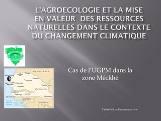 Cas de l’UGPM dans la
zone Méckhé
Présenté par Fatou Binetou DIOP
c
 