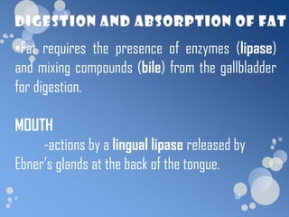 •Fat requires the presence of enzymes (lipase)
and mixing compounds (bile) from the gallbladder
for digestion.

MOUTH
     -actions by a lingual lipase released by
Ebner’s glands at the back of the tongue.
 