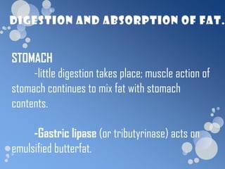 STOMACH
     -little digestion takes place; muscle action of
stomach continues to mix fat with stomach
contents.

     -Gastric lipase (or tributyrinase) acts on
emulsified butterfat.
 