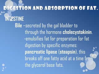 INTESTINE
     Bile –secreted by the gal bladder to
           through the hormone cholecystokinin.
          -emulsifies fat for preparation for fat
           digestion by specific enzymes:
           pancreatic lipase (steapsin), this
           breaks off one fatty acid at a time from
           the glycerol base fats.
 