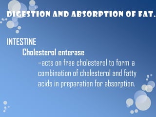INTESTINE
     Cholesterol enterase
          –acts on free cholesterol to form a
          combination of cholesterol and fatty
          acids in preparation for absorption.
 