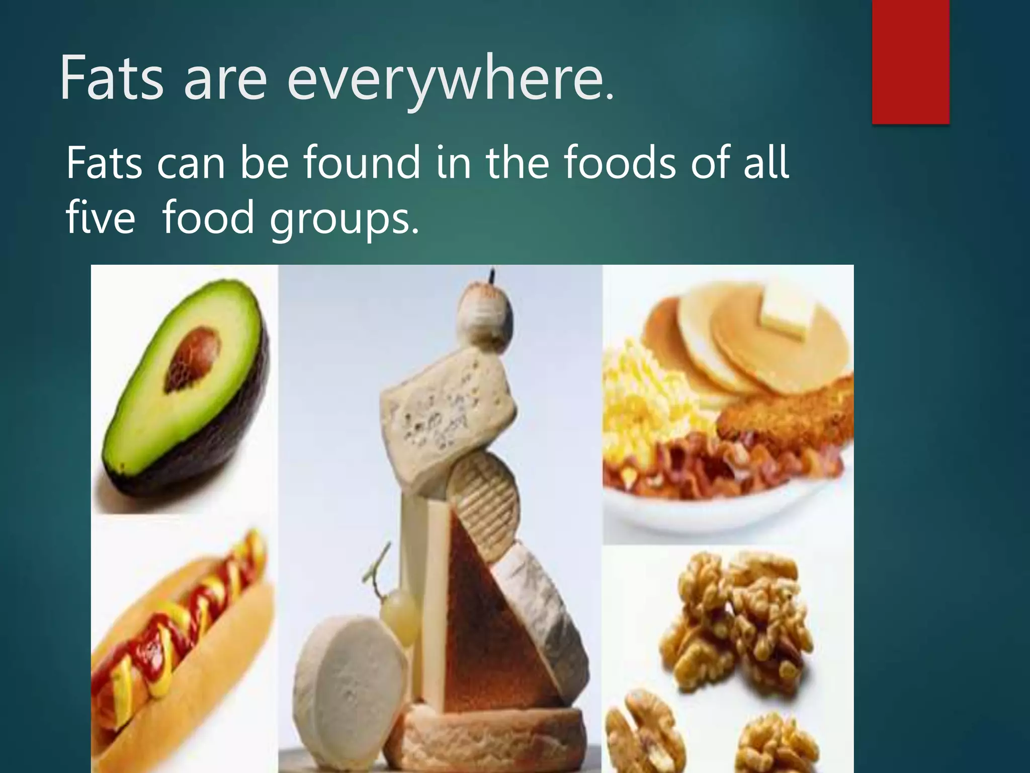 Fats are everywhere.
Fats can be found in the foods of all
five food groups.
 