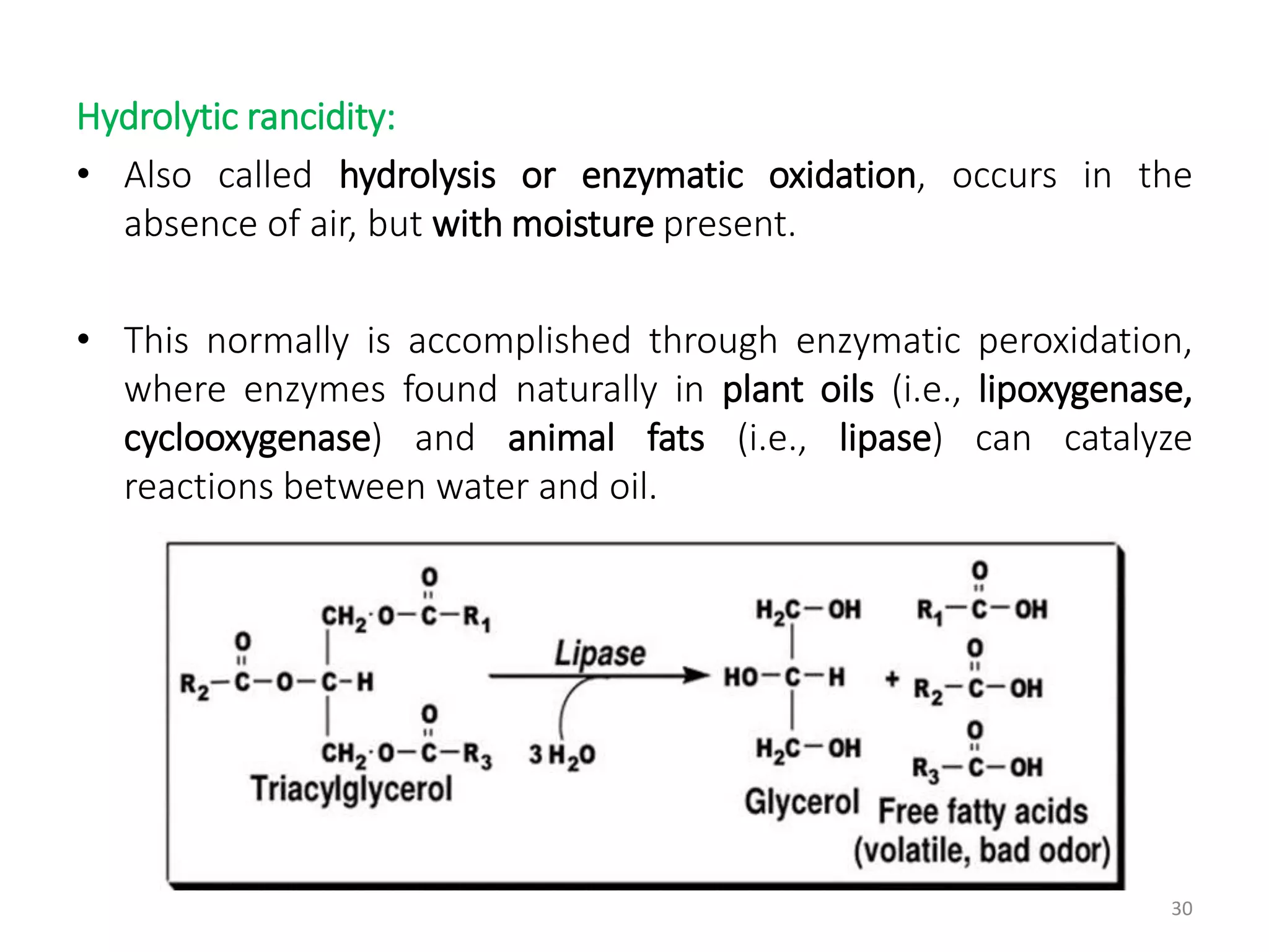 Fats.pptx