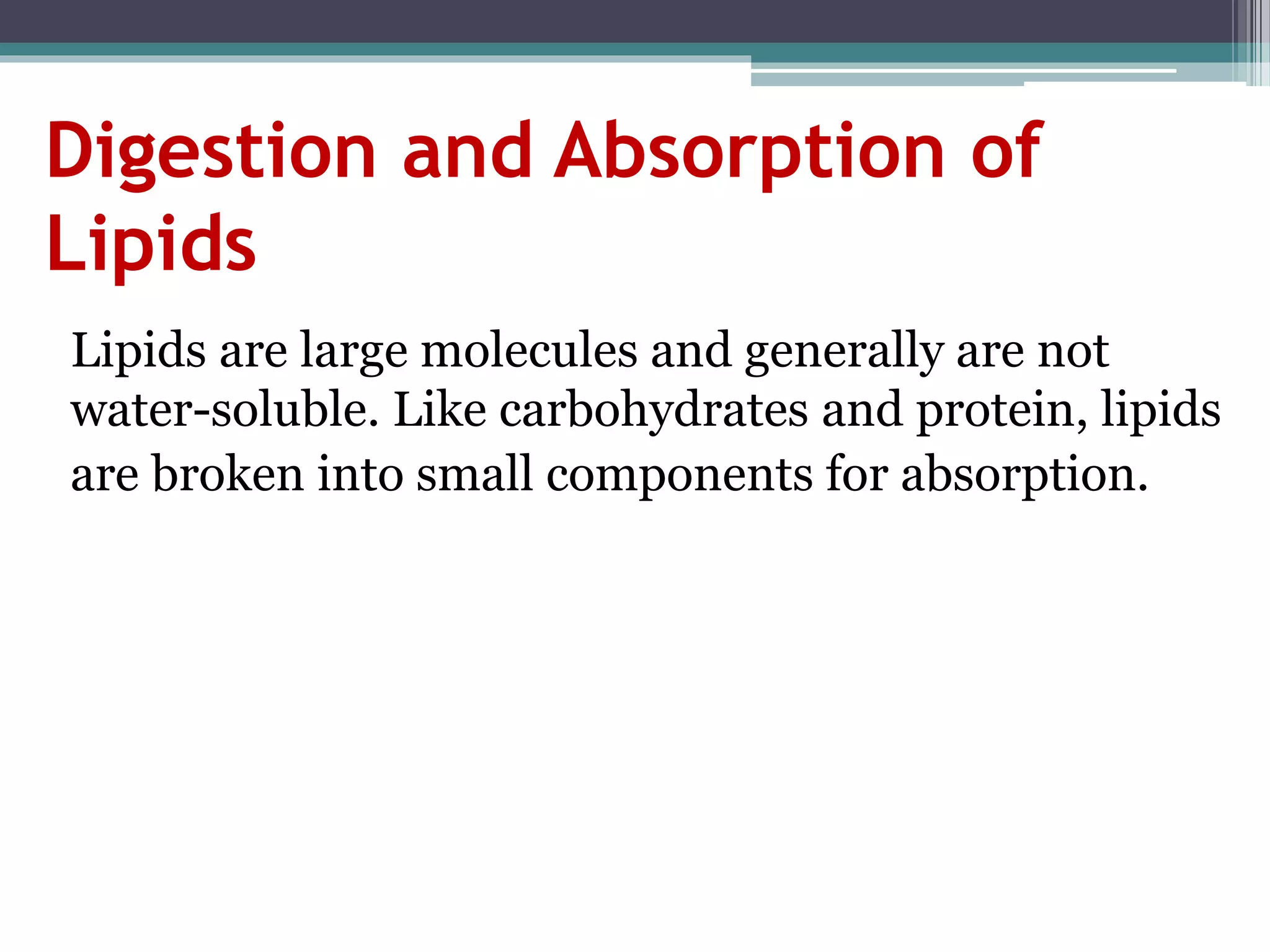 Digestion and Absorption of
Lipids
Lipids are large molecules and generally are not
water-soluble. Like carbohydrates and protein, lipids
are broken into small components for absorption.
 