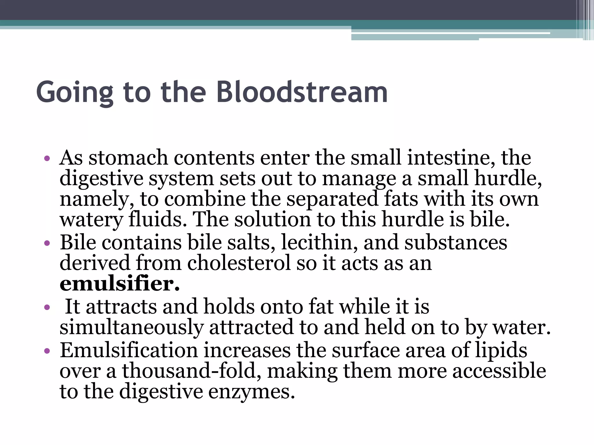 Going to the Bloodstream
• As stomach contents enter the small intestine, the
digestive system sets out to manage a small hurdle,
namely, to combine the separated fats with its own
watery fluids. The solution to this hurdle is bile.
• Bile contains bile salts, lecithin, and substances
derived from cholesterol so it acts as an
emulsifier.
• It attracts and holds onto fat while it is
simultaneously attracted to and held on to by water.
• Emulsification increases the surface area of lipids
over a thousand-fold, making them more accessible
to the digestive enzymes.
 
