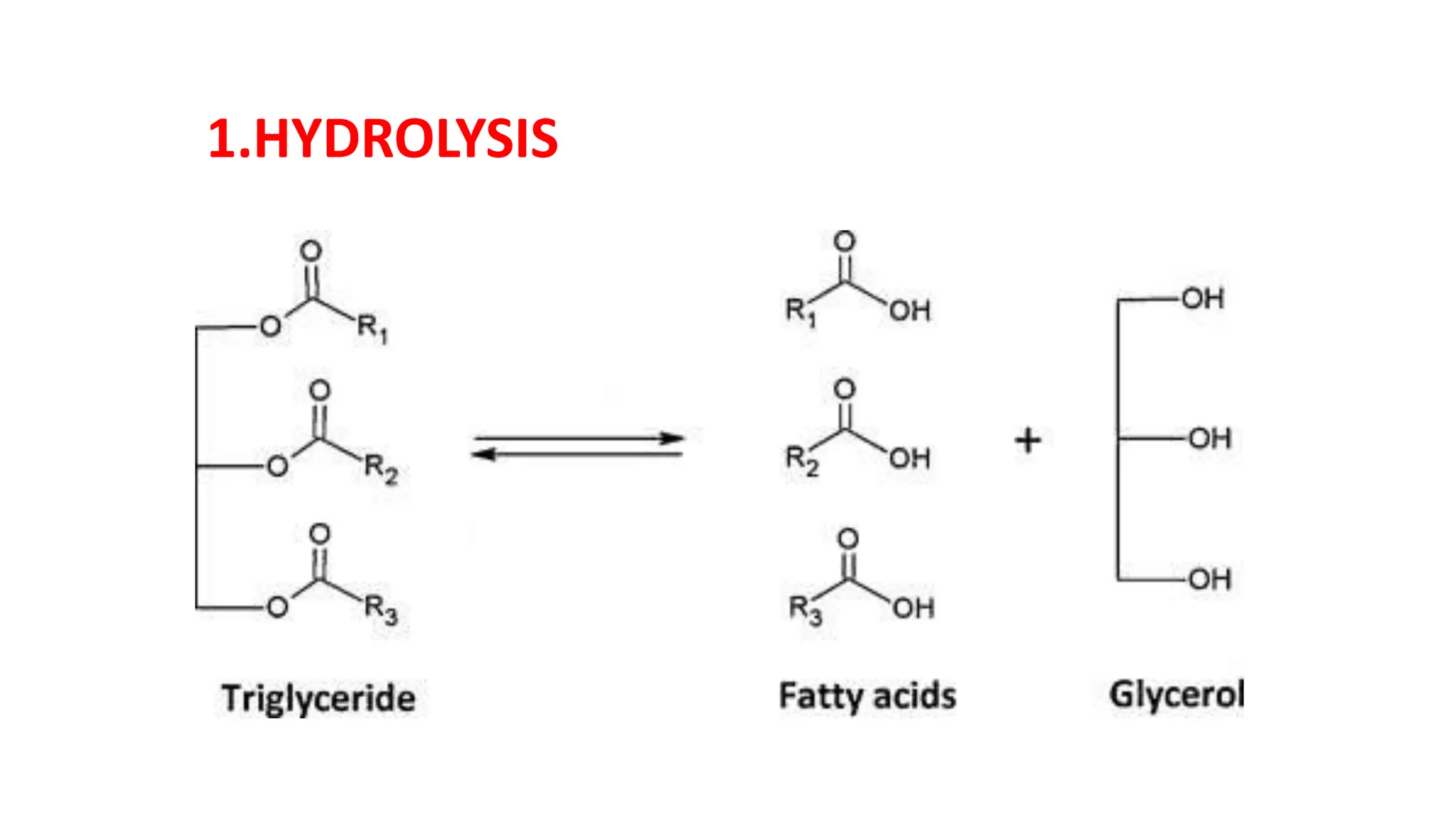 fats and oils.pptx