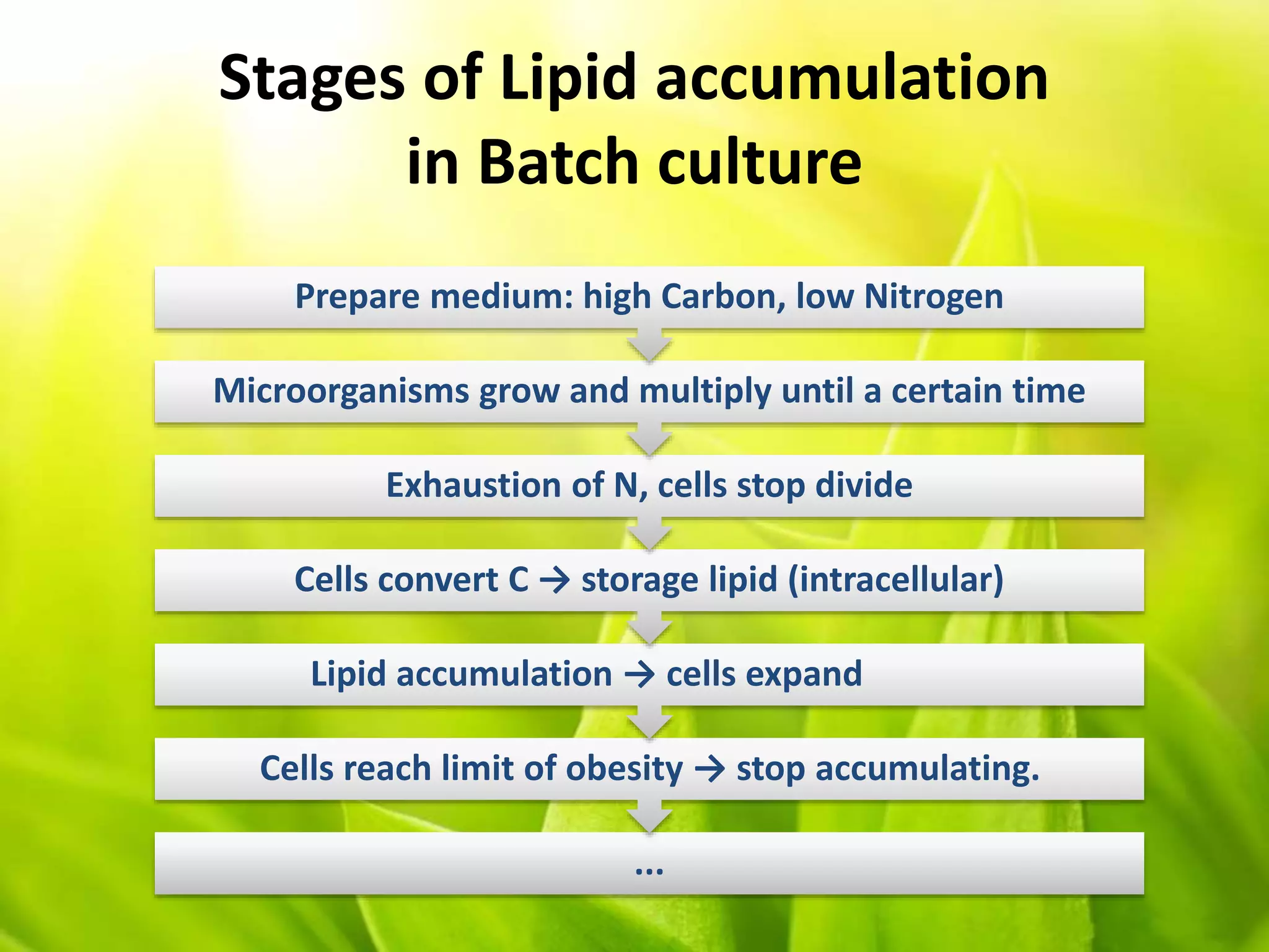 Stages of Lipid accumulation
in Batch culture
...
Cells reach limit of obesity → stop accumulating.
Lipid accumulation → cells expand
Cells convert C → storage lipid (intracellular)
Exhaustion of N, cells stop divide
Microorganisms grow and multiply until a certain time
Prepare medium: high Carbon, low Nitrogen
 