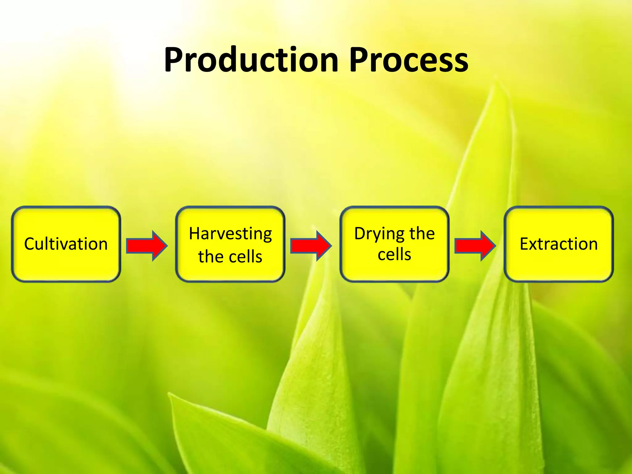 Production Process
Harvesting
the cells
Cultivation
Drying the
cells
Extraction
 