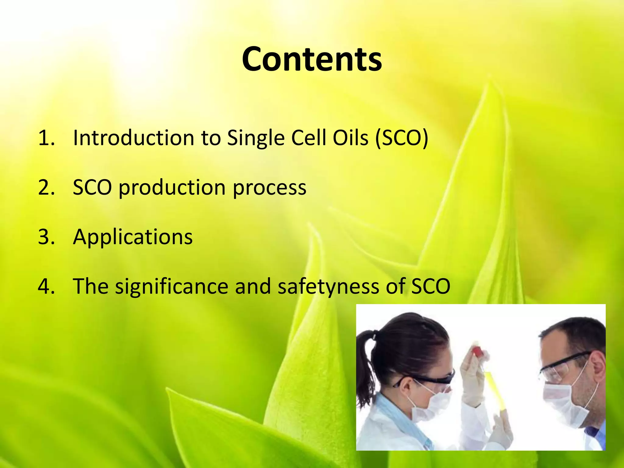 Contents
1. Introduction to Single Cell Oils (SCO)
2. SCO production process
3. Applications
4. The significance and safetyness of SCO
 