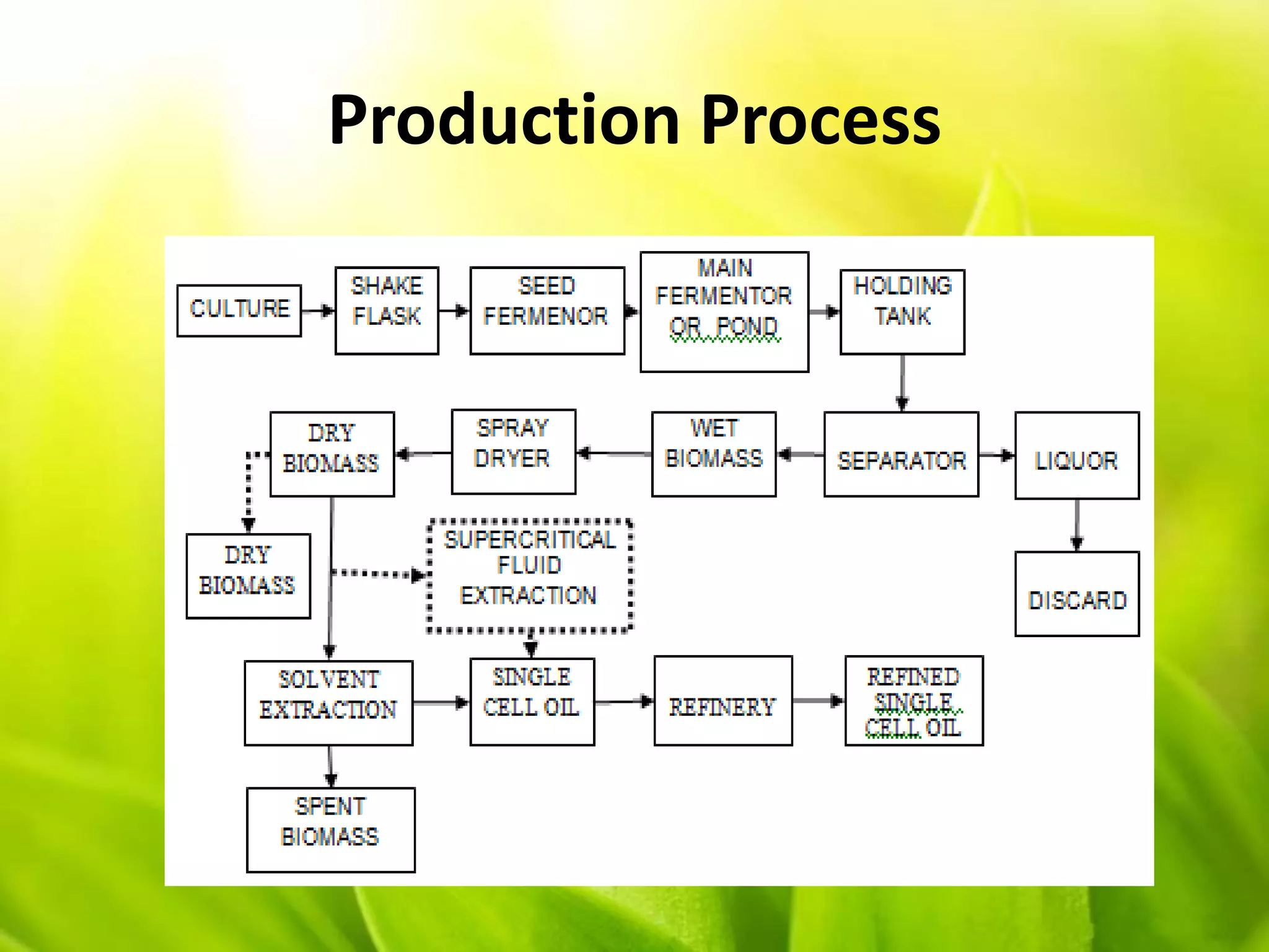 Production Process
 